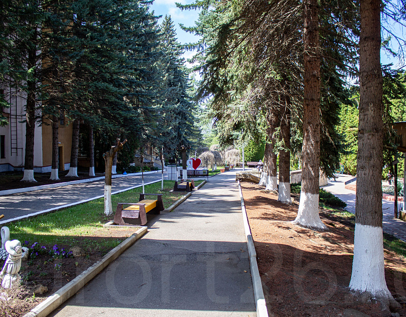 Санаторий «Москва», г. Кисловодск. Территория